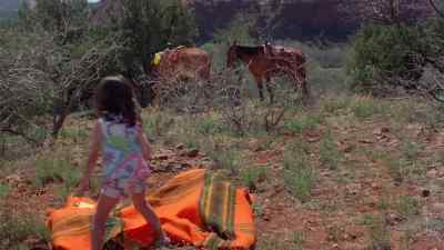 It's so beautiful here.
So peaceful. - Kingdom of the Spiders