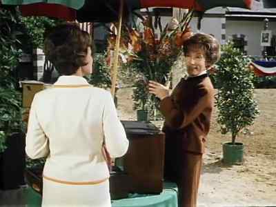 It's beautiful. I know the right 
place for them. Here. - Miracle of the White Stallions