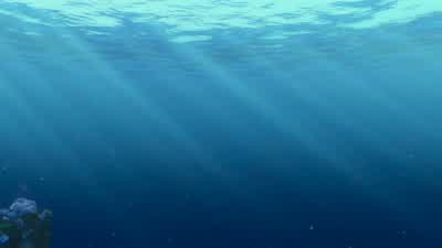 Wow Mm hmmWow Yes MarlinNo I see it It's beautifulSo Coral when you said you wanted an ocean viewyou didn't think you'd get the whole ocean did youOh yeah A fish can breathe out hereDid your man deliver or did he deliverMy man delivered And it wasn't so - Finding Nemo