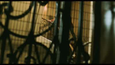 - It's beautiful. - The Dreamers