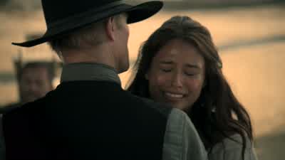 It's beautifully done, really. - Westworld