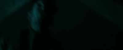 It's been a brutal 24
hours, so let's forego - The Survivalist