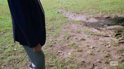It's been a number of years - The Preppy Murder: Death in Central Park