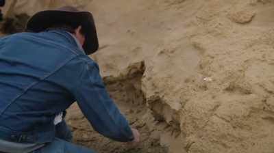 IT'S BEEN CLOSE TO 15 I BET, - Dino Hunters
