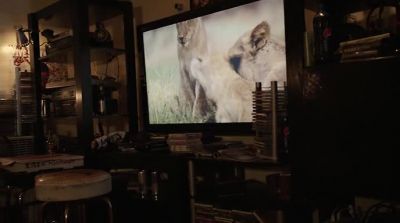 It's been crazy
exciting to see these cubs - Shameless