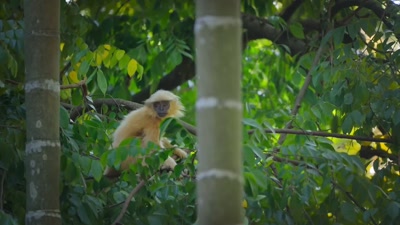 It's been four months
since her parents left to find food. - A Year on Planet Earth