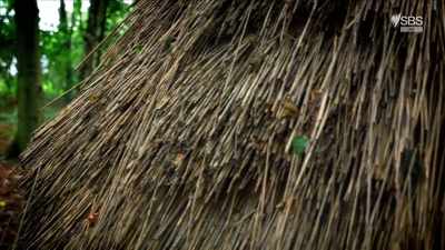 It's been here for about five years
from when we built it. - Curse of the Ancients with Alice Roberts