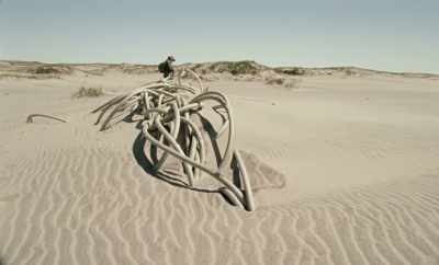 It's been, I think ..,
at least 20 years - Geographies of Solitude