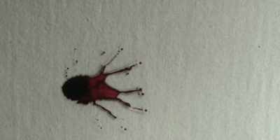 - It's been reported that
there was a spatter pattern - Low Country: The Murdaugh Dynasty