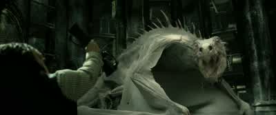 It's been trained to expect pain when it hears the noise. - Harry Potter and the Deathly Hallows: Part 2