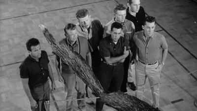 It's big, all right. - Earth vs. the Spider
