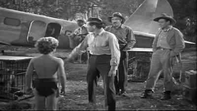 It's big, isn't it?
How's it fly? Like a bird? - Tarzan's New York Adventure
