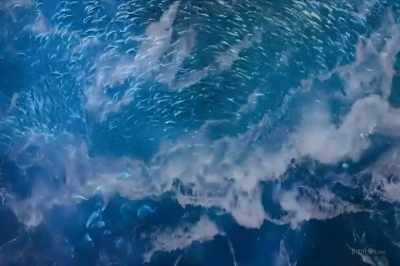 It's both distinct and unified, - Thrive II: This Is What It Takes