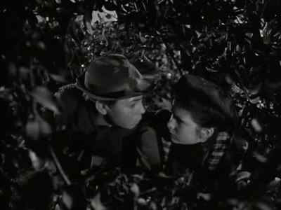 It's bound to be behind those bushes - The Secret Garden