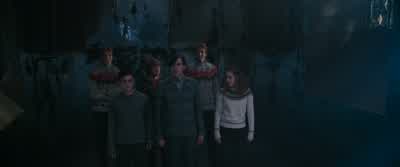 It's brilliant. - Harry Potter and the Order of the Phoenix