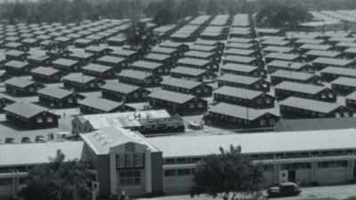 It's called "Internment Camp," - Trees and Other Entanglements