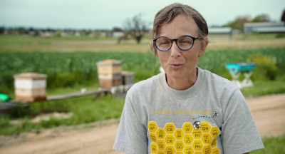 It's capitalism, - The Pollinators