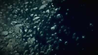 Its cargo went down
with the ship, - Beyond Oak Island