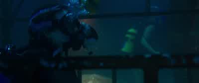 It's caught against the rocks. - 47 Meters Down