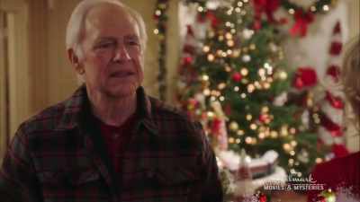 It's Christmas. - Romance at Reindeer Lodge