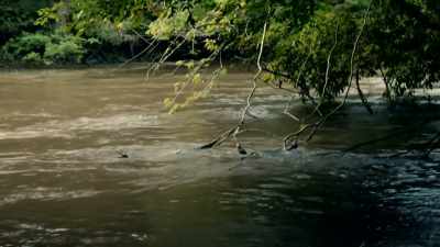IT'S CLEAR IT'S TOO RISKY
TO CONTINUE BY WATER, - Expedition Mungo
