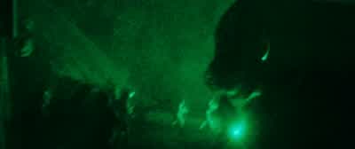 It's coming back to me. - Rampage
