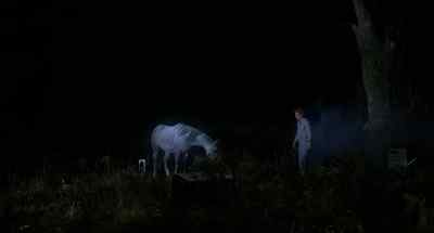 It's covered with nettles. - Equus