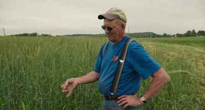 It's crimson clover, the vetch, - The Pollinators