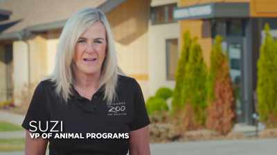 It's crucial that we give them
as many opportunities - Secrets of the Zoo