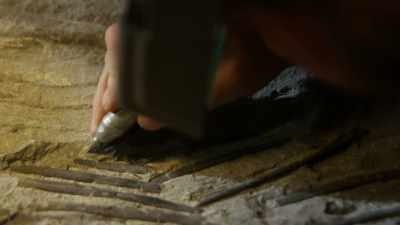 It's detailed work that will
take months to complete. - Attenborough and the Sea Dragon