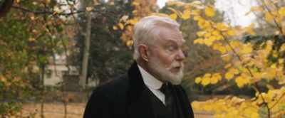 Its distinctive leaves - Tolkien