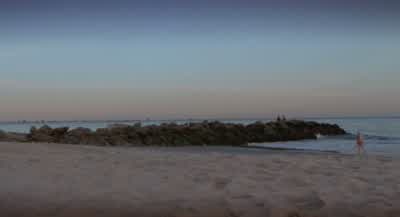It's early, Harry. - Requiem for a Dream