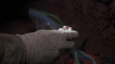 ..it's easy to forget your fears. - Outback Opal Hunters