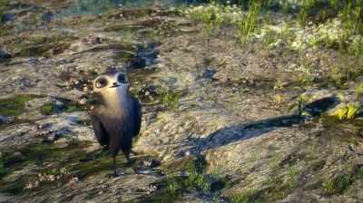 It's easy. Just flap your wings
and follow me. - Manou the Swift