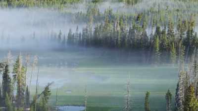 Its edges provide both
protection and opportunity. - Epic Yellowstone