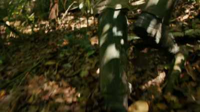 It's Edwin's 15th season - Lost Treasures of the Maya