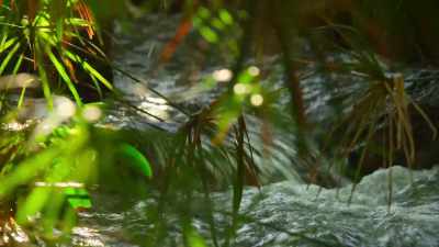 It's estimated
that over 50 million gallons - Our Great National Parks