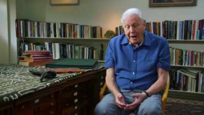 It's extraordinary how much
you can discover - Attenborough and the Sea Dragon