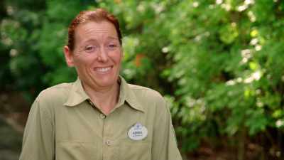 It's fabulous, it's really awesome
to have her back. - Magic of Disney's Animal Kingdom