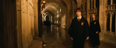 It's Filch's cat. - Harry Potter and the Chamber of Secrets