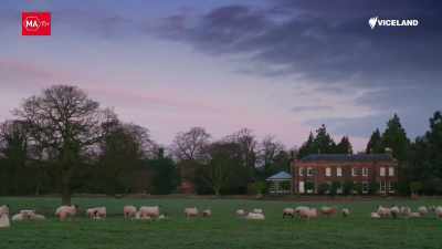 It's my first morning
with the Arkwright family, - Stacey Dooley Sleeps Over