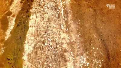 Its flat summit is surrounded
by these mysterious rings. - Curse of the Ancients with Alice Roberts