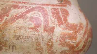 IT'S FOUND ALL OVER THE CENTRAL
AND WESTERN AMAZON, - Lost Cities of the Amazon