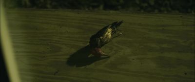 It's fucking gone - I Spit on Your Grave