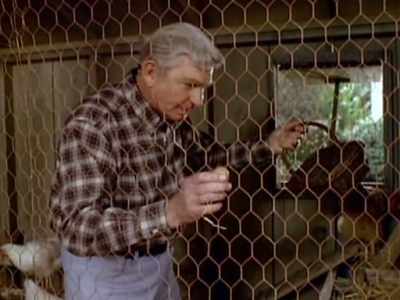 It's game day and you have
everything riding on this case - Matlock