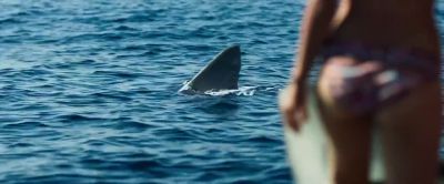 It's getting closer. - Shark Bait