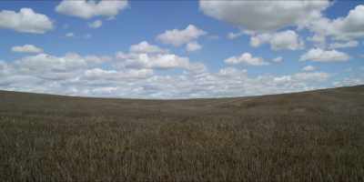 - It's getting harder and
harder for those farmers - Hot Money