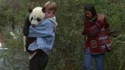 IT'S GETTING
KIND OF SLIPPERY. - The Amazing Panda Adventure