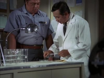 IT'S GONNA BE LIKE LOOKING
FOR A VERY SMALL NEEDLE - Hawaii Five-0