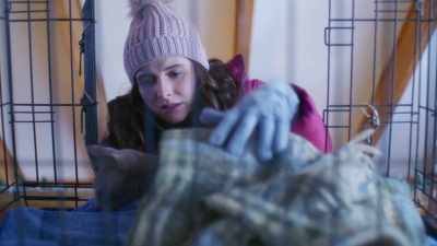 It's gonna be okay. I promise. - The Dog Days of Christmas